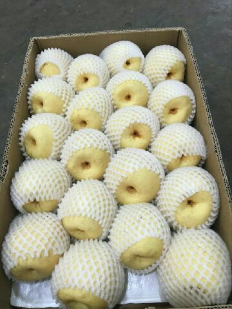贡梨250~300g纸袋