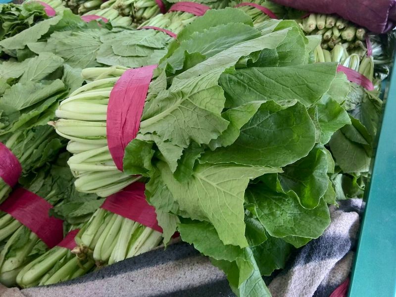 我处小白菜量大从优，欢迎骚扰