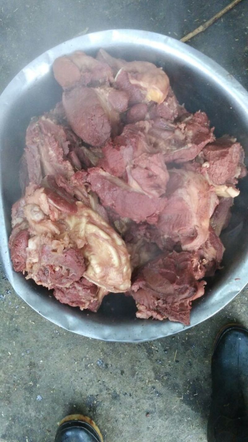 驴肉鲜货