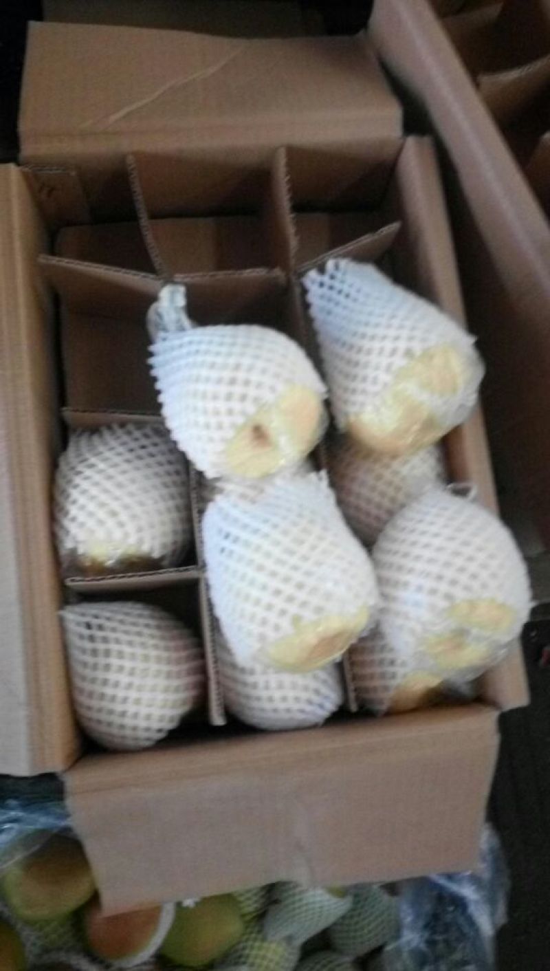 贡梨250~300g纸加膜