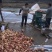 红薯淀粉