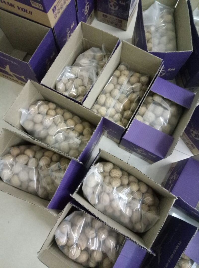 纸皮核桃去皮干