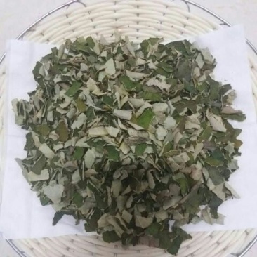 荷叶茶特级