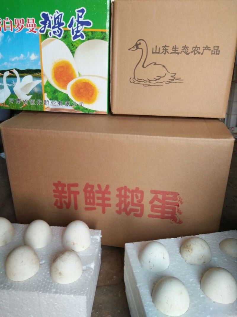 【鹅蛋】正宗土鹅蛋农家新鲜散养土鹅蛋食用批发代发全国