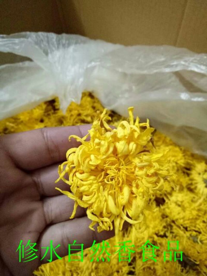 菊花茶