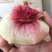 寒露蜜桃80mm以上