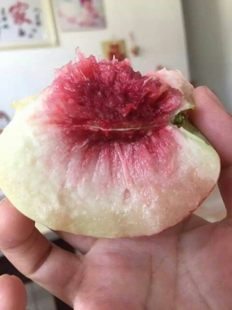寒露蜜桃80mm以上
