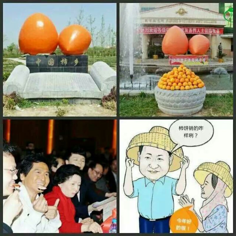 柿饼1~2两