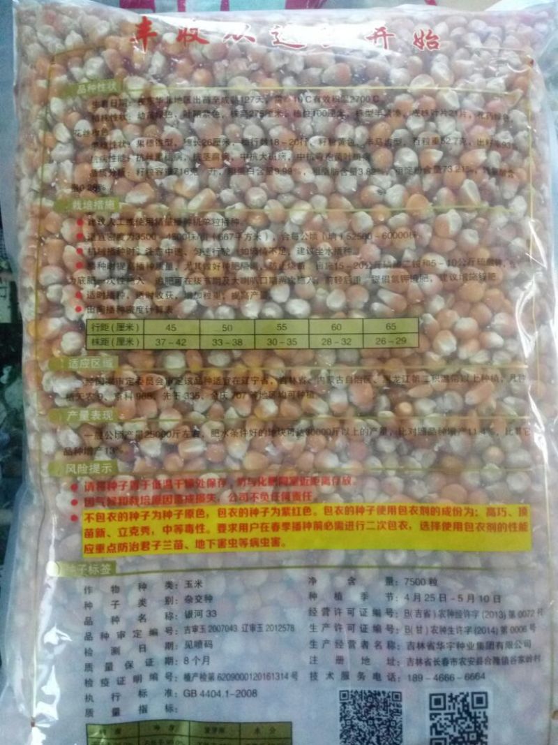 登海618玉米种子95%