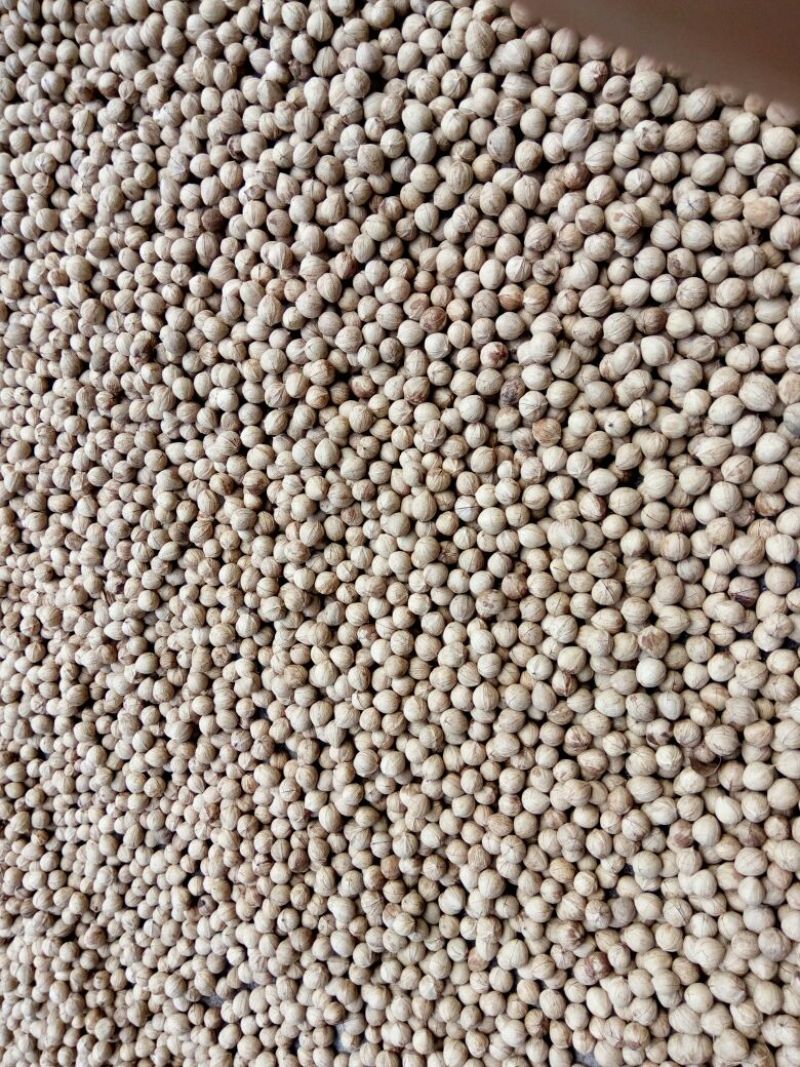 野生核桃去皮干
