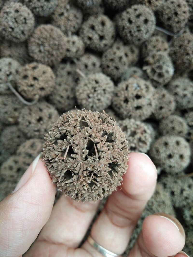 路路通各种中药材批发质量批发零售各种规格中药材
