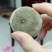 化橘红化州人工种植干货