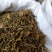 普洱绿茶