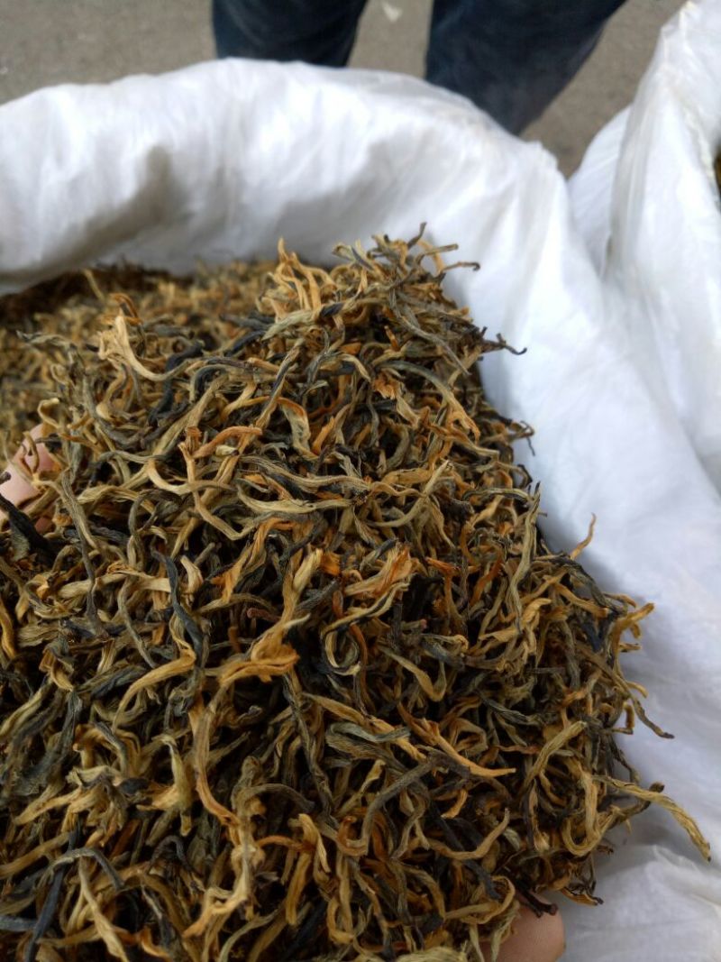 普洱绿茶