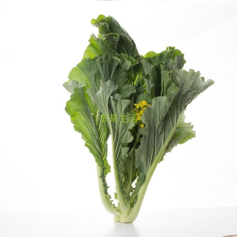 蔬菜
