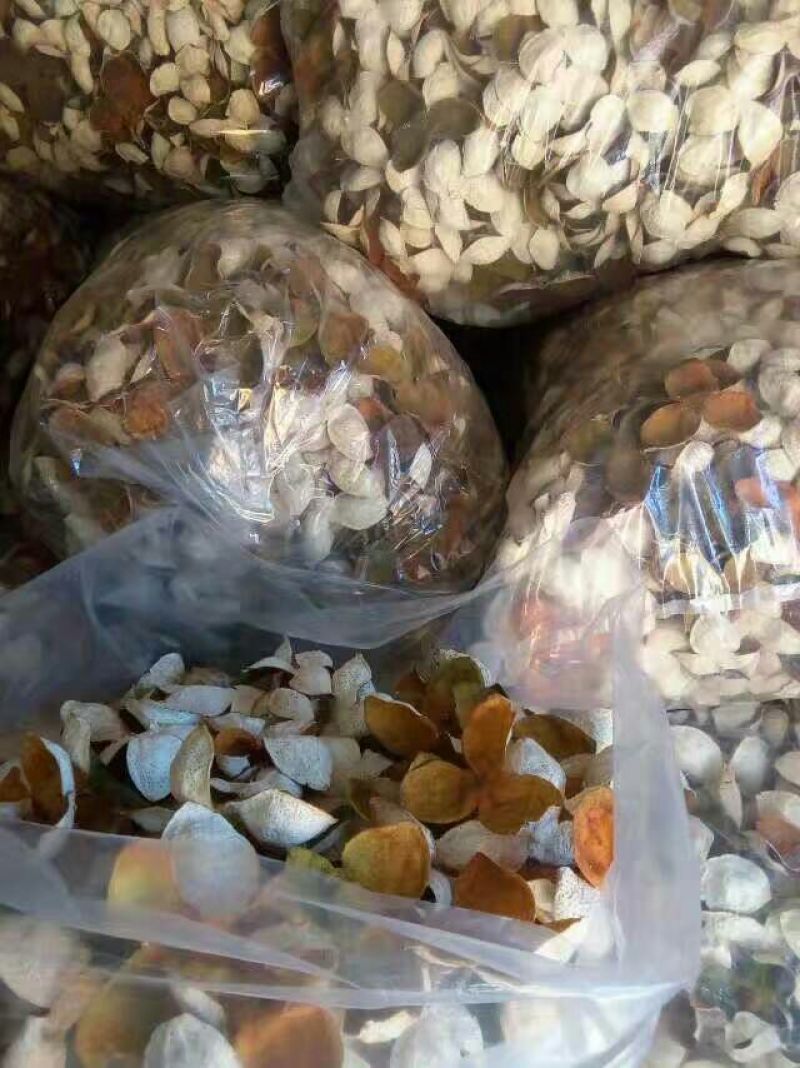 陈皮，三花皮新会陈皮陈皮
