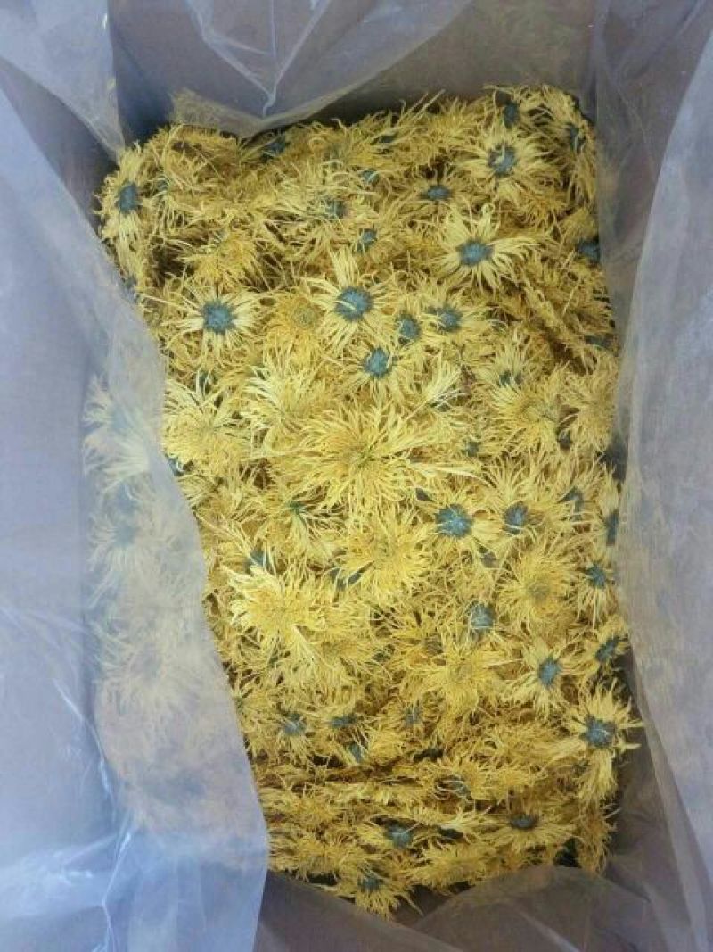 菊花茶