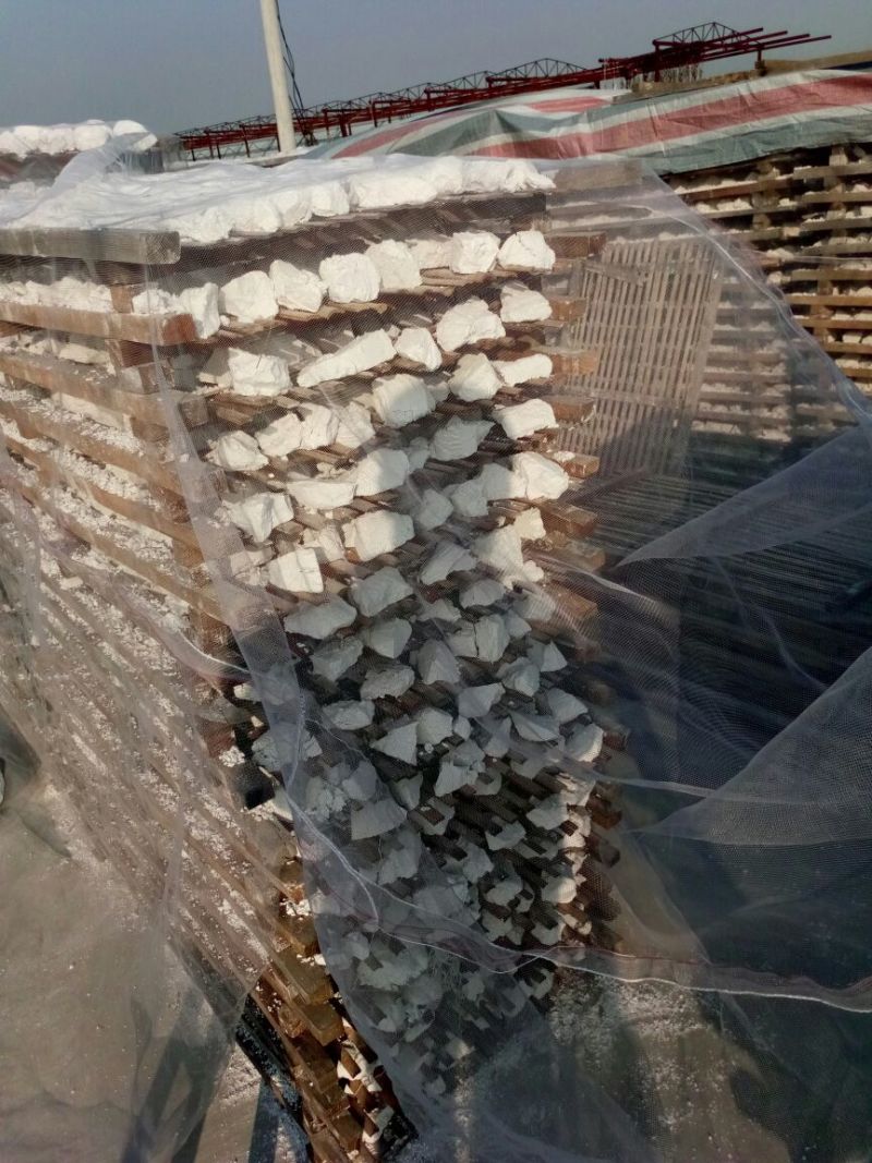 红薯粉面颗粒