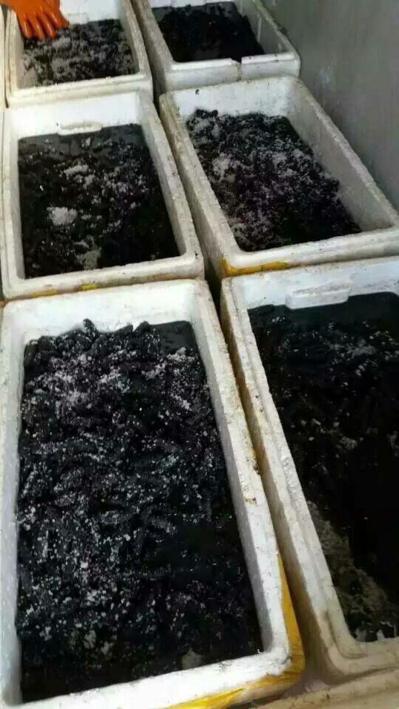 干海参食用淡干