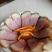 腊肉