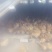 脱温鸡1斤以上