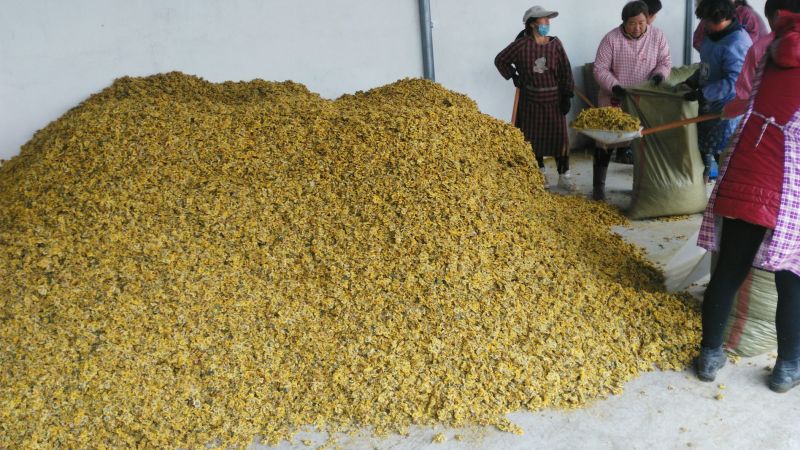 菊花茶