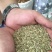 小茴香净货