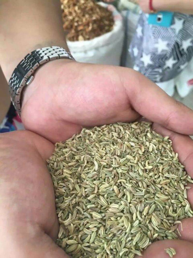 小茴香净货