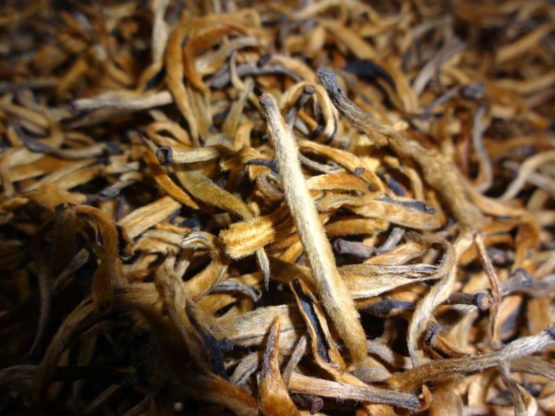 百年大树茶特级