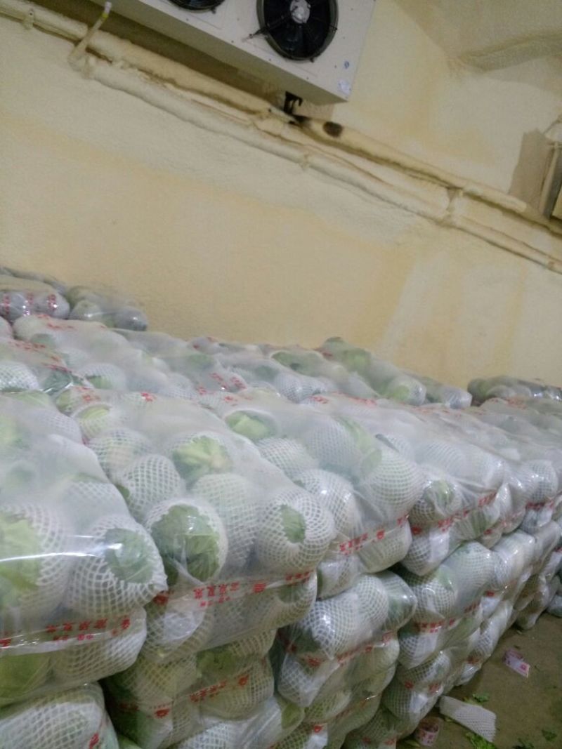 白花菜花1斤紧密乳白