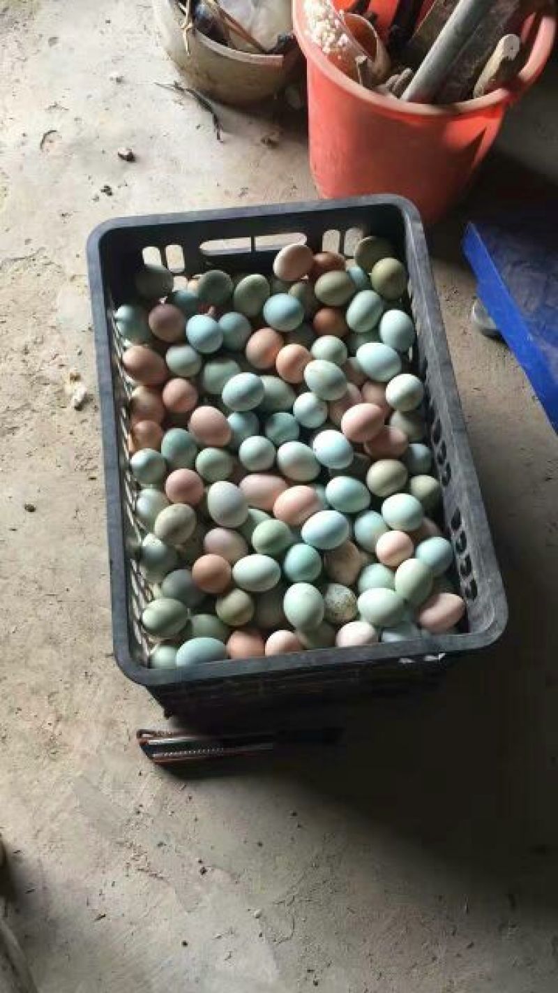 绿壳鸡蛋食用50g以下