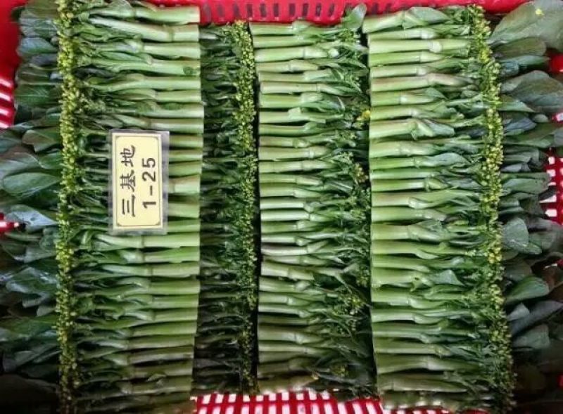 蔬菜
