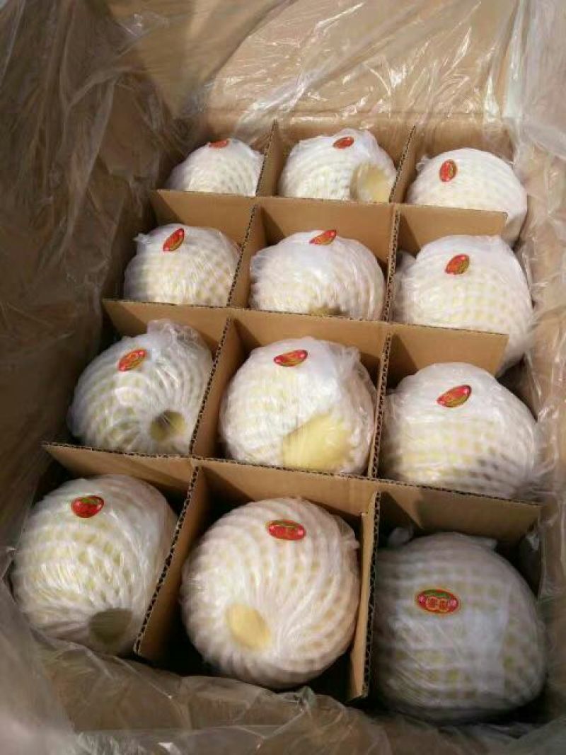 贡梨400~450g纸箱