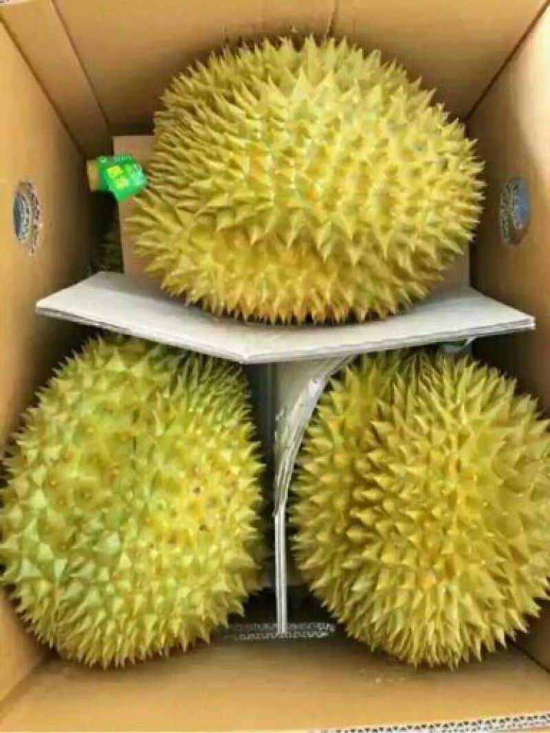榴莲5~8斤