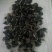 干木耳一级