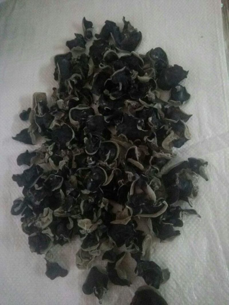 干木耳一级