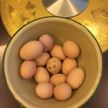 土鸡蛋