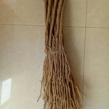 黄芪原装条无硫条形好人工揉搓三遍高密度