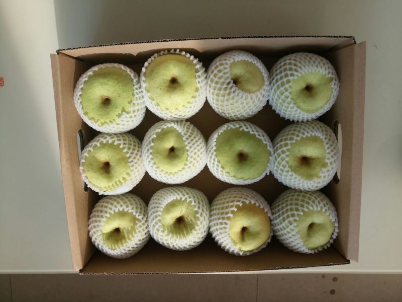 砀山梨300g-400g纸箱