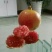 枣庄石榴8两~1斤