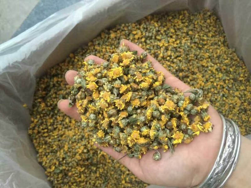 野菊花