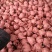 丰水梨350~400g纸加膜