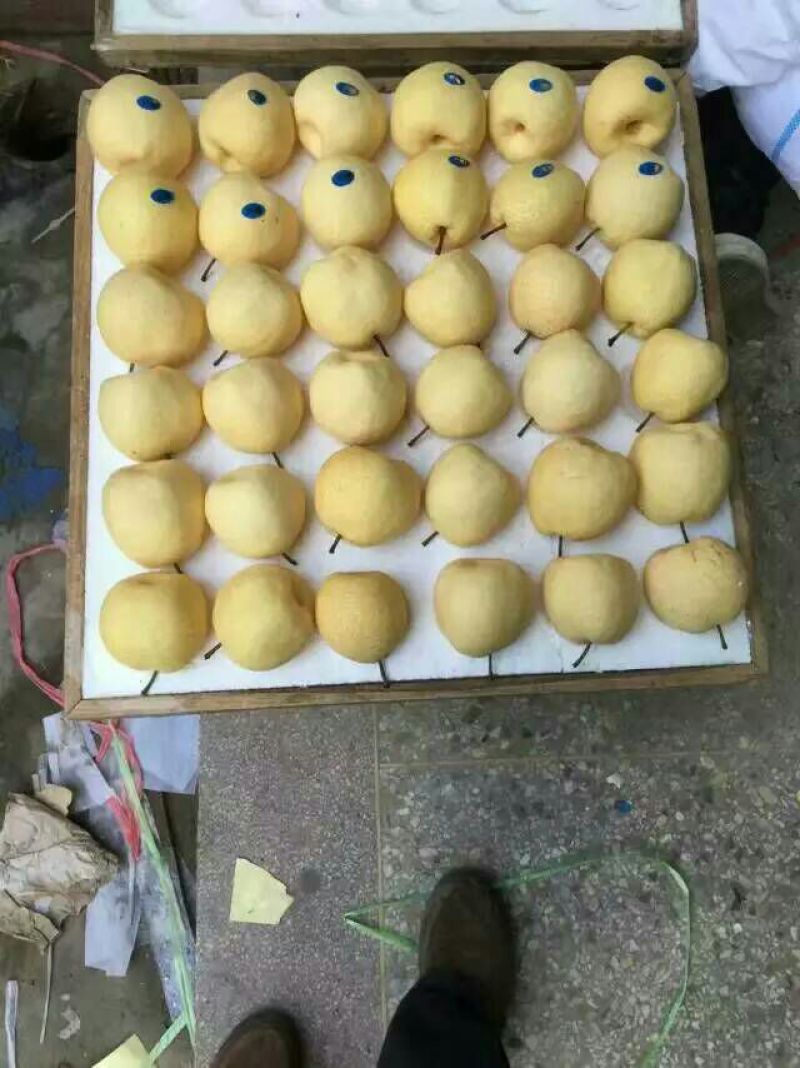 贡梨300~350g纸箱