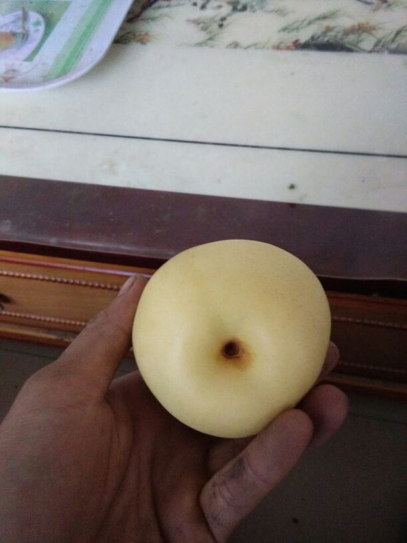 皇冠梨纸加膜