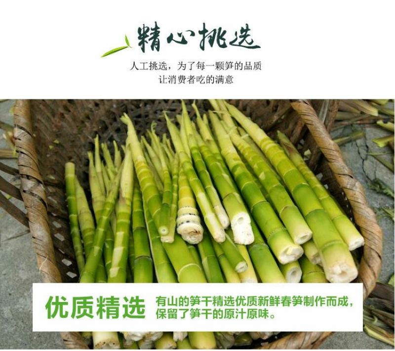 早竹春笋10~15cm