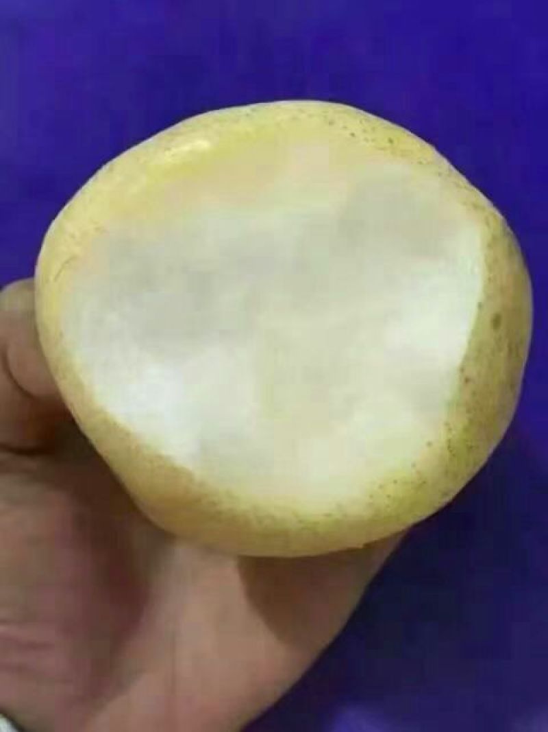 礼泉酥梨200~250g纸袋
