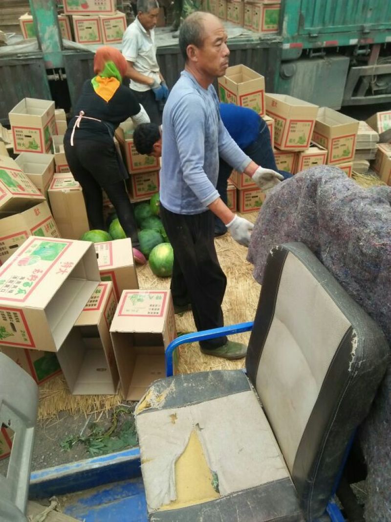 无籽西瓜10斤打底9成熟1茬