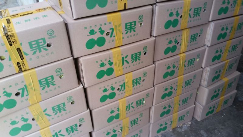 大白木瓜1~1.5斤