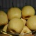 酥梨200~250g膜袋