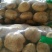 荷兰十五土豆1两以上精品